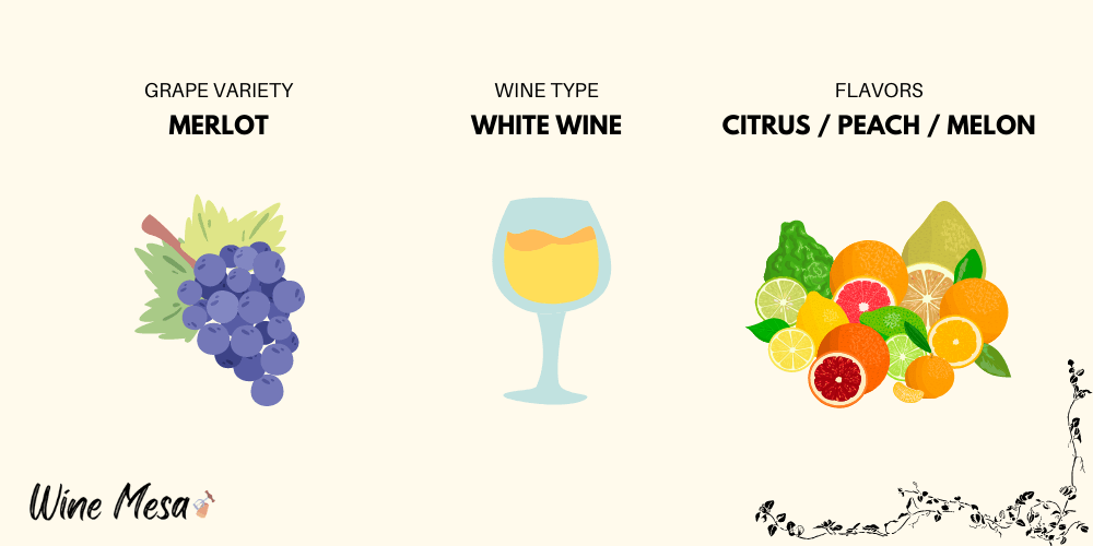 White Merlot Infographic