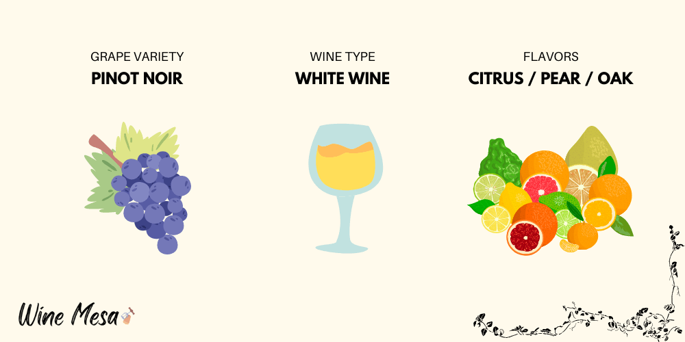 White Pinot Noir Infographic