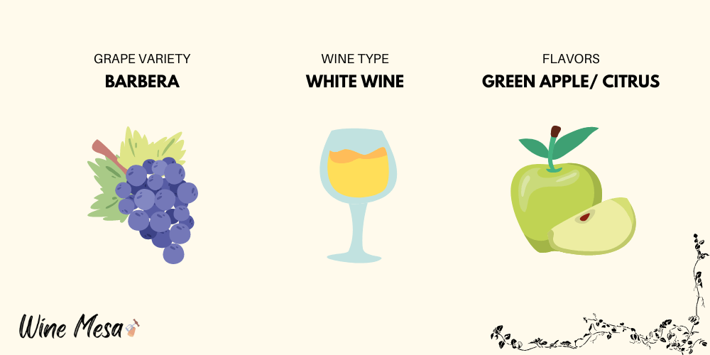 Infographic-White-Barbera