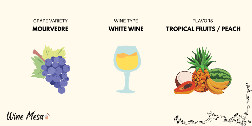 Infographic-White-Mourvedre