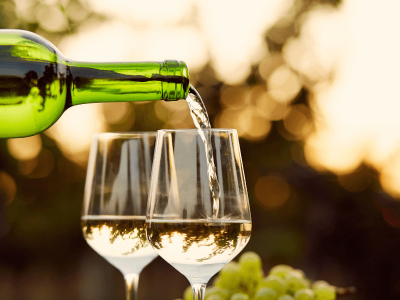 White Barbera Wine: Complete Guide with Examples to Try