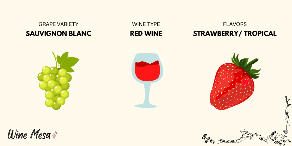 red Sauvignon Blanc infographic