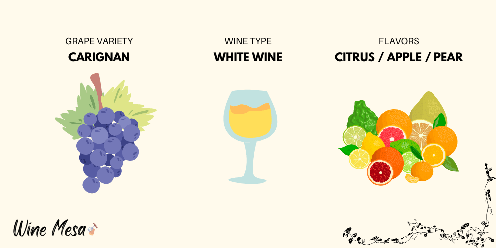 Infographic White Carignan